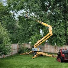 Brockway, PA  Tree Services Company